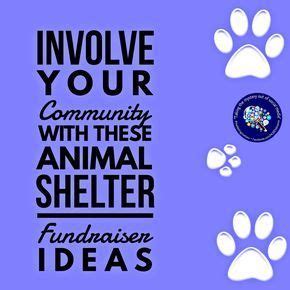 animal shelter fundraiser ideas|48 Fundraising Ideas for Animals and Pets .